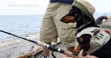 Fishing with Crusoe channel