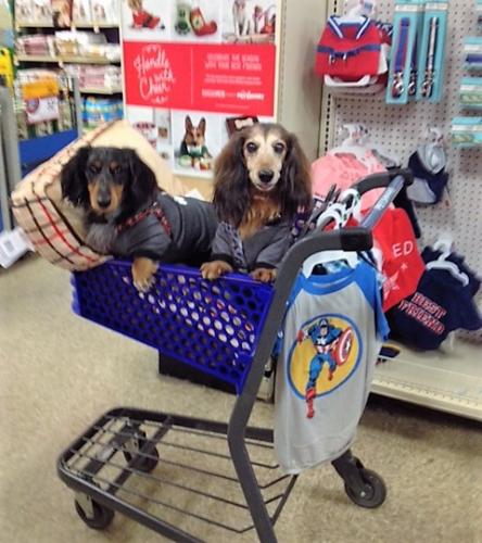 Mickey & Tobie shopping